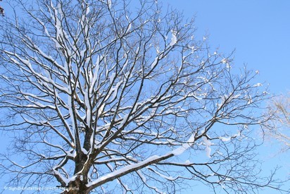 winterbaum021_marked